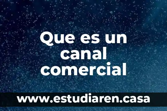 Por que es importante el sistema comercial 3 Que es un canal comercial