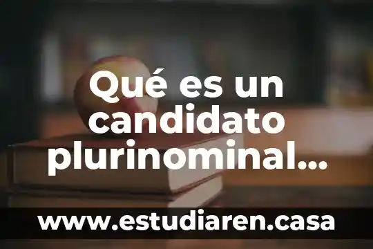 Qué es un candidato plurinominal en México
