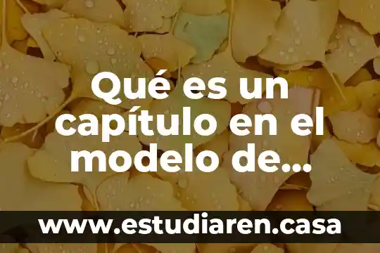 Modelo de negocio sva que es sva 3 QuĂ© es un capĂtulo en el modelo de CS:GO