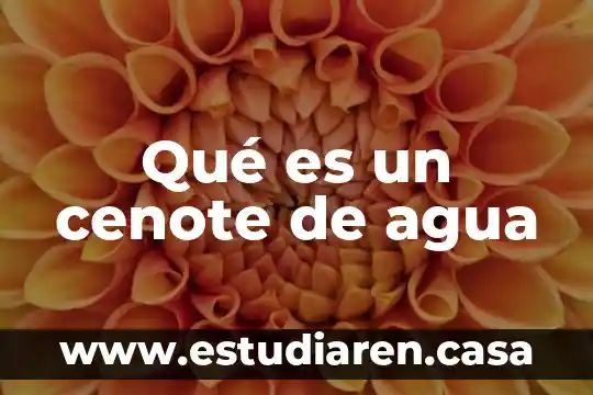 Qué es un cenote de agua