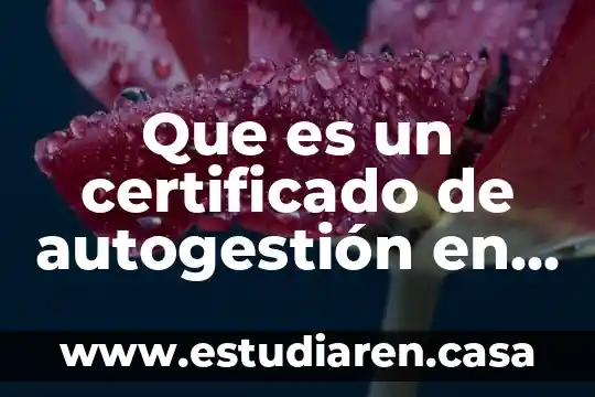 Que es datos de informacion pd 3 Que es un certificado de autogestión en tecnologias de información