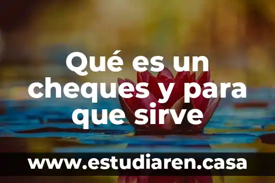 Qué es y para qué sirve un espin 3 Qué es un cheques y para que sirve