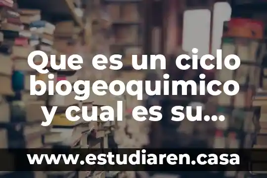 Que es un ciclo biogeoquimico y cual es su importancia