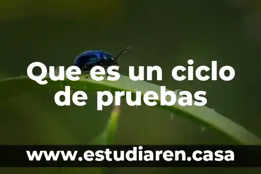 Que es un ciclo de pruebas