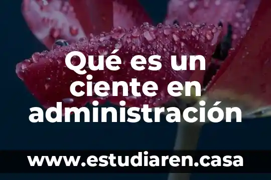 Administración actividades y recursos que es 3 Qué es un ciente en administración