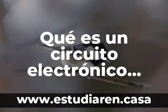 Que es la frecuencia en un procesador 3 Qué es un circuito electrónico con contador de frecuencia