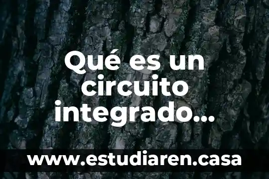 Que es un doctorado integrado 5 Qué es un circuito integrado lm386