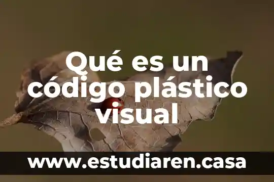 Qué es un código de acceso Fortnite 8 Qué es un código plástico visual