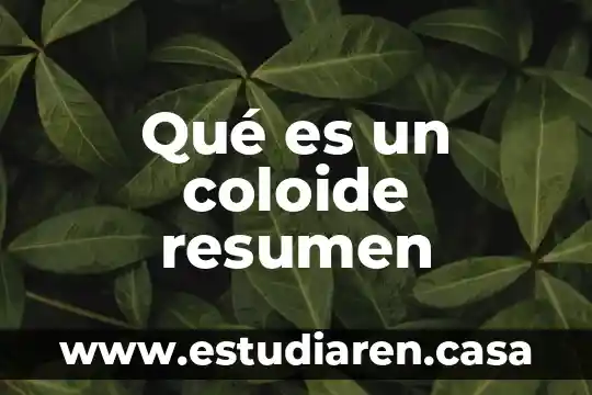 Qué es un coloide resumen