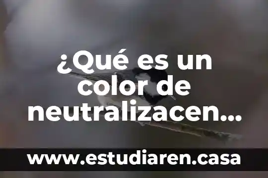 ¿Qué es un color de neutralizacen química?
