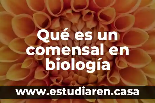 Qué es un comensal en biología