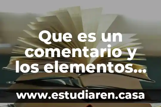 Que es un comentario y los elementos que lleva