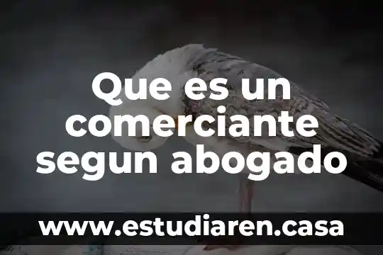 Articulo que fundamenta que es un comerciante 5 Que es un comerciante segun abogado