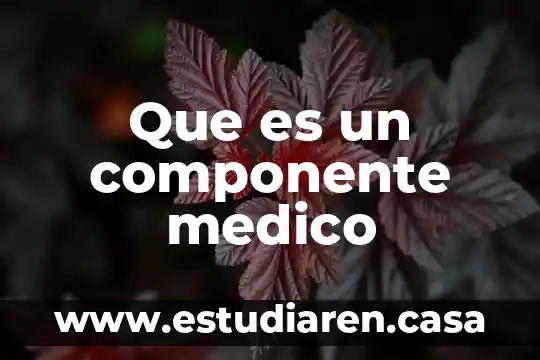 Qué es componente físico 8 Que es un componente medico