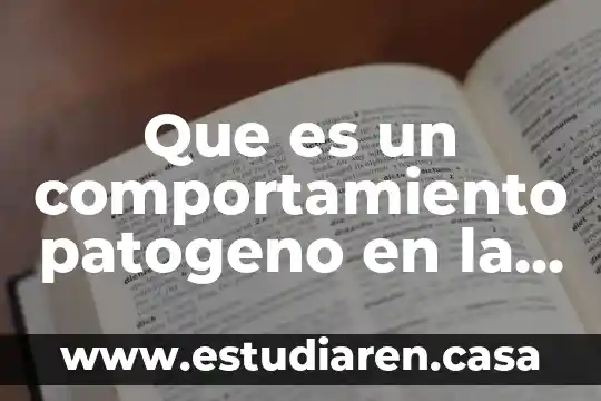 Que es hacinamiento de salud 8 Que es un comportamiento patogeno en la salud