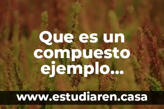 Que es un compuesto ejemplo caseros