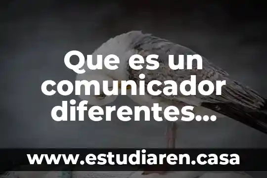 Que es un comunicador diferentes autores