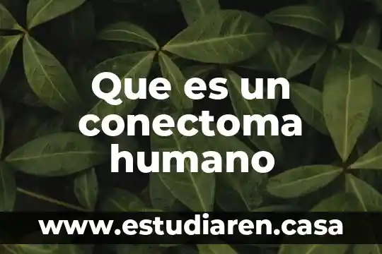 Que es un conectoma humano