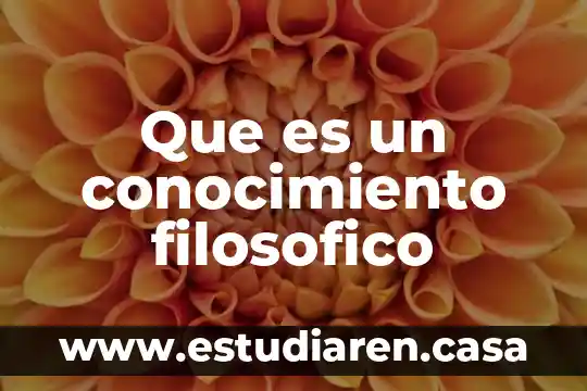 Qué es un enfoque filosófico ejemplos 6 Que es un conocimiento filosofico