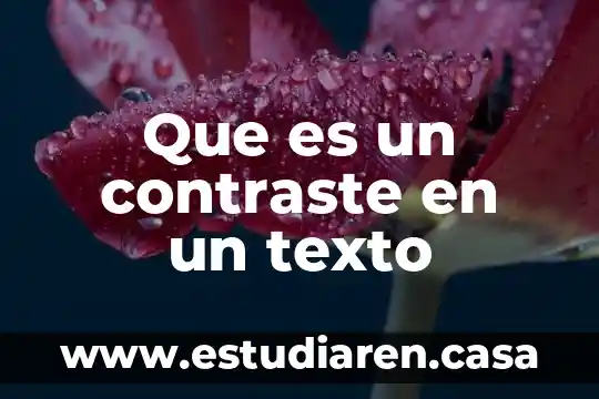 Qué es la dirección de los servicios de salud 8 Que es un contraste en un texto