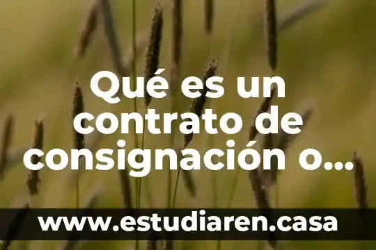 Que es pago en consignacion 7 Qué es un contrato de consignación o estimatorio