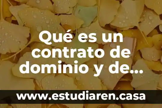 Qué es un contrato de dominio y de uso