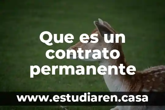 Qué es un contrato laboral indeterminado 7 Que es un contrato permanente