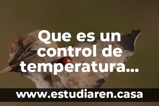 Que es un control de temperatura digital