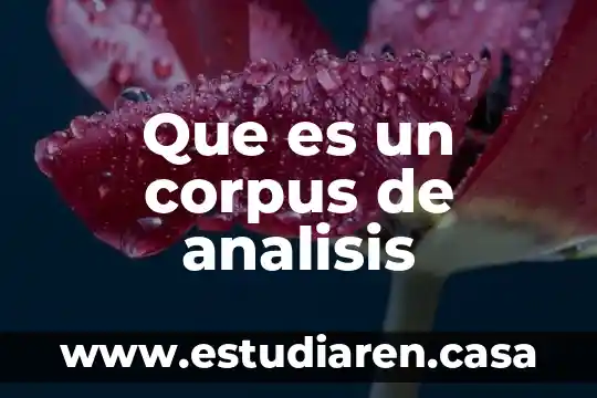 Que es un corpus de analisis