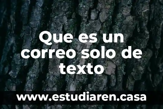Qué es un embrague de un solo sentido 3 Que es un correo solo de texto