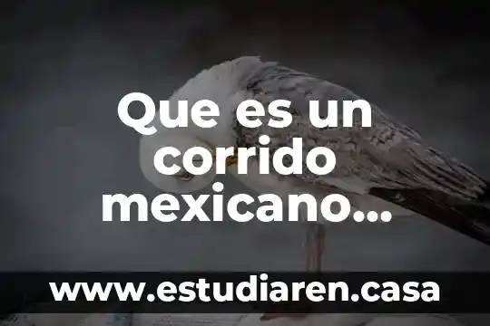 Que es un corrido mexicano ejemplo 7 Que es un corrido mexicano revolucionario
