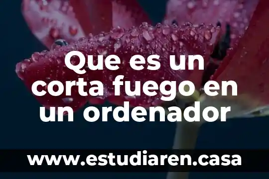 Que es un corta fuego en un ordenador
