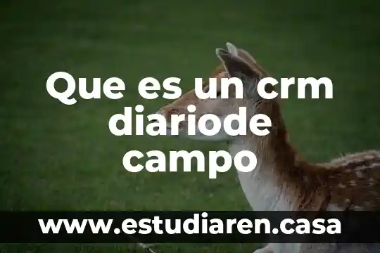 Que es reclutar en campo 3 Que es un crm diariode campo