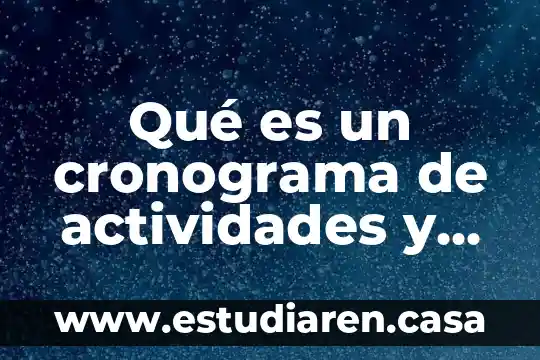 Que es comercio electronico y las actividades prop 3 Qué es un cronograma de actividades y cómo se hace