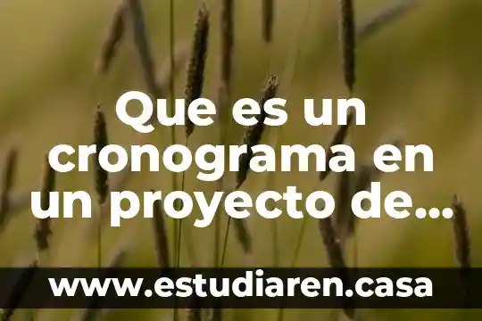 Que es una cronograma de actividades 5 Que es un cronograma en un proyecto de investigacion