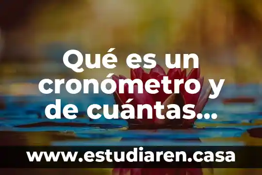 Que es y para que se utilizan las formas empresariales 3 Qué es un cronómetro y de cuántas formas se utilizan