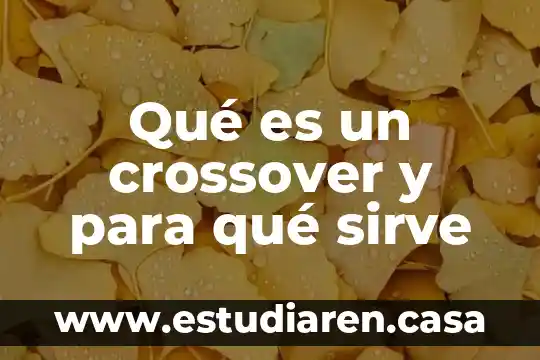 Que es y para que sirve linkedin 4 Qué es un crossover y para qué sirve