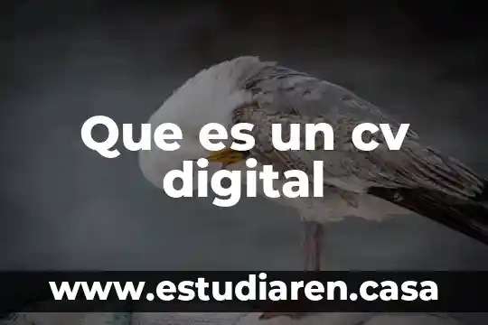 Sistemas contino sa de cv que es 5 Que es un cv digital
