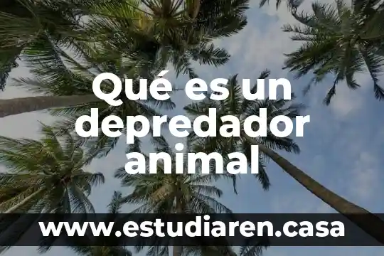 Qué es un depredador animal