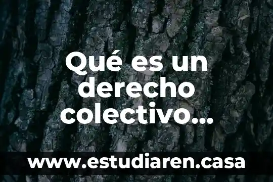 Qué es un derecho colectivo ejemplos