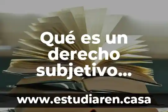Qué es un derecho subjetivo público ejemplos