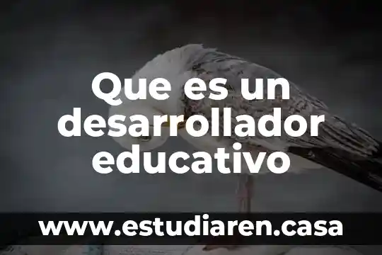 Qué es un circuito educativo en preescolar 4 Que es un desarrollador educativo