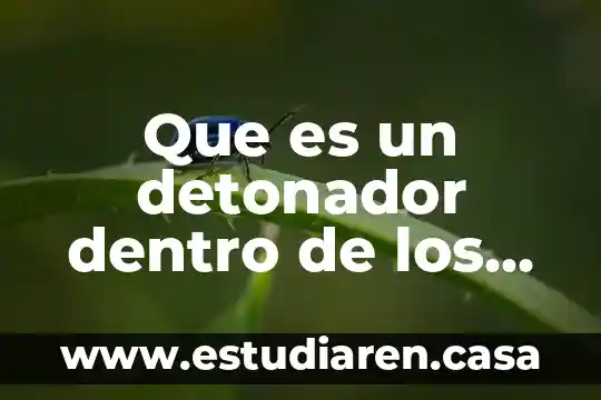 Que es un detonador dentro de los sistemas de informacion
