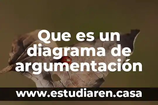 Que es la argumentacion juridica y logica juridica 8 Que es un diagrama de argumentación