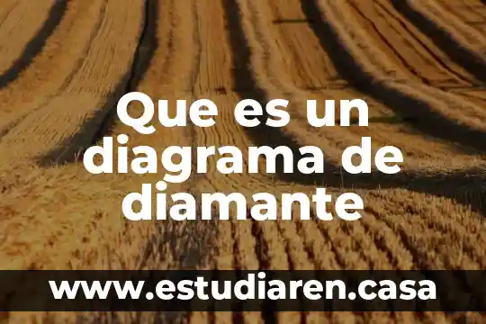 Qué es más caro el diamante rosa o transparente 6 Que es un diagrama de diamante