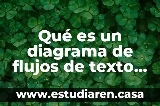 Qué es un diagrama de flujos de texto definición