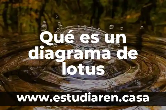 Graficamente que es una circuferencia 3 Qué es un diagrama de lotus