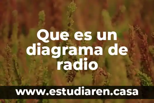 Que es un diagrama de esquematico 8 Que es un diagrama de radio