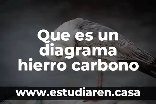 Que es un diagrama de esquematico 6 Que es un diagrama hierro carbono