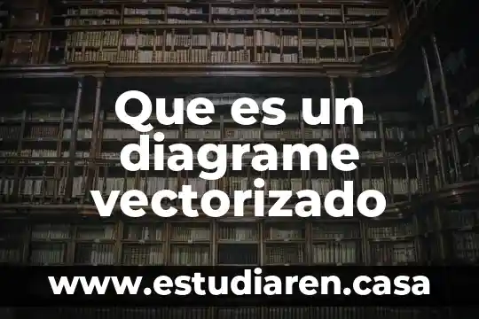 Que es un diagrame vectorizado